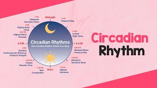 Circadian Rhythm -Dieian Shreya