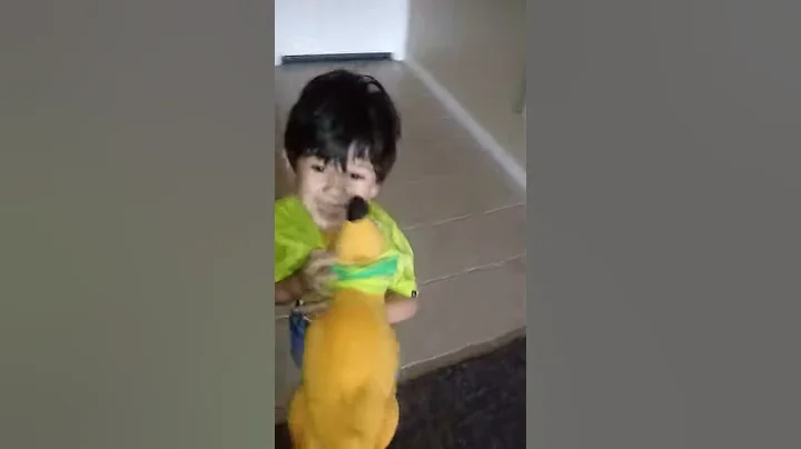 My baby fighting with a yellow dog mi mini peleand...