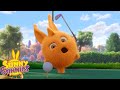 SUNNY BUNNIES - The Golf Champion | Season 2 | Cartoons for Children