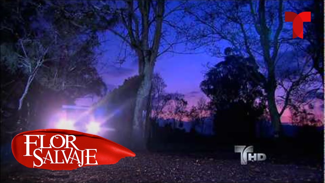 Flor Salvaje | Capítulo 145 | Telemundo