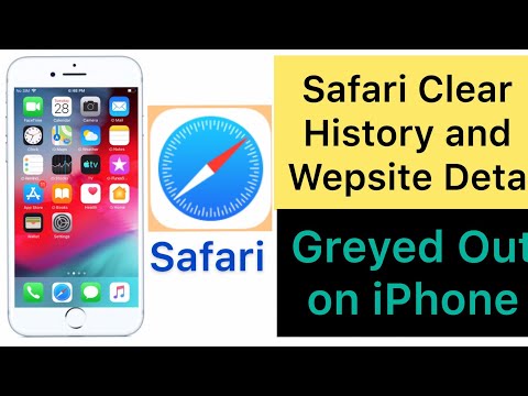 clear-history-and-website-data-greyed-out-in-safari-app-on-iphone-and-ipad-after-ios-12.3.1