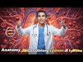 تالت محاضرة اناتومي الـCirculatory System الجهاز الدوري لأولي ثانوي تمريض شرح مبسط مع م هاني محمود 