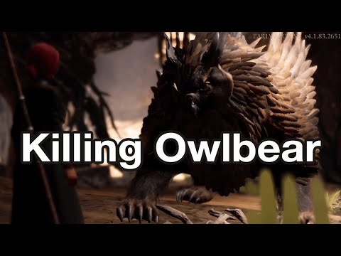 Baldur's Gate 3 - Owlbear Fight (Killing Owlbear)