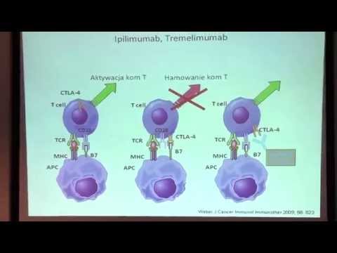 Wideo: Mechanizmy Regulujące Ekspresję PD-L1 Na Komórkach Nowotworowych I Immunologicznych