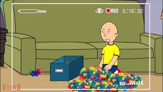 Babysitter Cam Cleanup After The Tantrum African Vulture Re-Upload