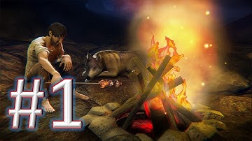 Survival Island - Wild Escape ameplay walkthrough 1 android