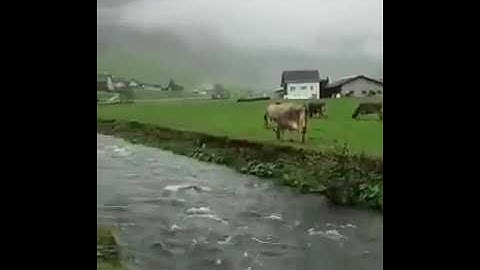 تلاوة هادئة #القارئ هشام الهراز /سورة الضحى