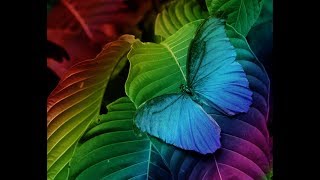 Photoshop Tutorials : Rainbow Color Effect In Photoshop CS6 In Telugu screenshot 2