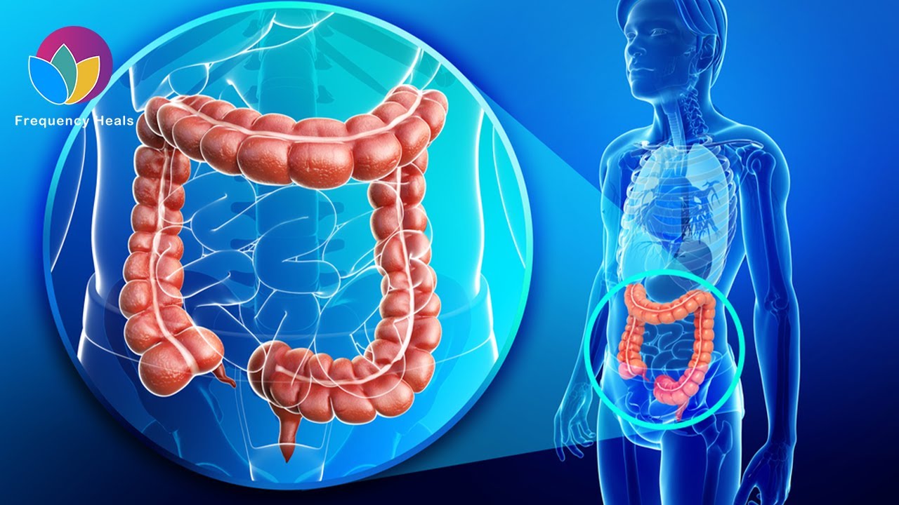 Large Intestine Tonic Frequency Enhance Bowel Movements & Prevent