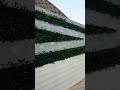 شجر زينه من فلور جروب للاشجار الصناعيه للتواصل 01153043288 شجر زينه من فلور جروب للاشجار الصناعيه للتواصل 01153043288