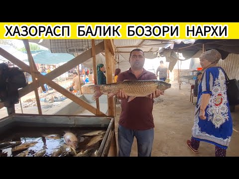 БАЛИК НАРХЛАРИ АРЗОНЛАДИ ХОРАЗМ ХАЗОРАСП БОЗОРИ 8 ИЮЛЬ 2025-ЙИЛ !!! ХОРАЗМ ОБЗОР