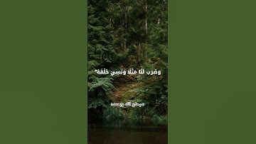 أَوَلَمْ يَرَ الإِنسَانُ أَنَّا خَلَقْنَاهُ مِن نُطْفَةٍ؟ تأمل قدرة الله في خلق الإنسان#تدبر#سورة_يس