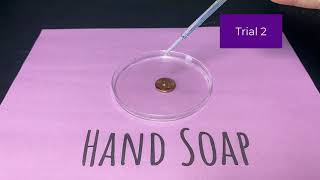 Conceptual Chem - Drops on a Penny Lab - Hand Soap