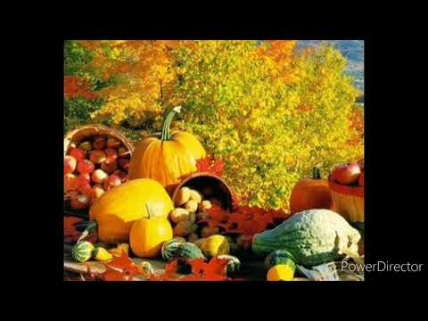 მარანი/marani - შემოდგომა (ჭყინტი ყველის ჭამა მიყვარს)