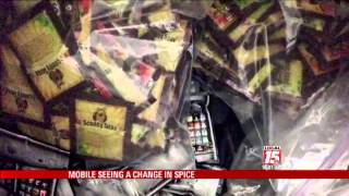 Spice Probes Focus on Port Cities