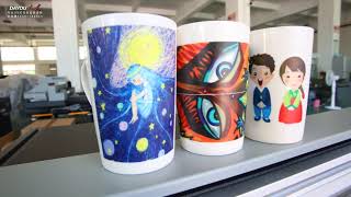 New DY-1212 UV Flatbed Printer, Mug, Cylinder Inkjet Printer Application Introduction Net Worth