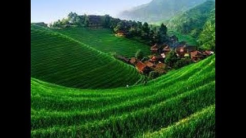 سورة آل عمران بصوت القارئ بندر بليله المكتبة الصوتية