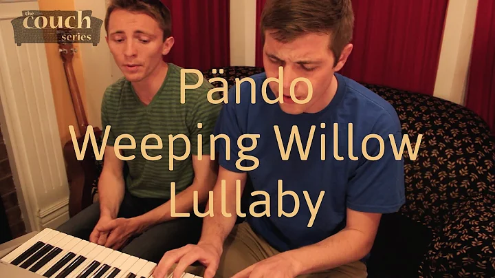 The Couch Series: Pando, "Weeping Willow Lullaby"