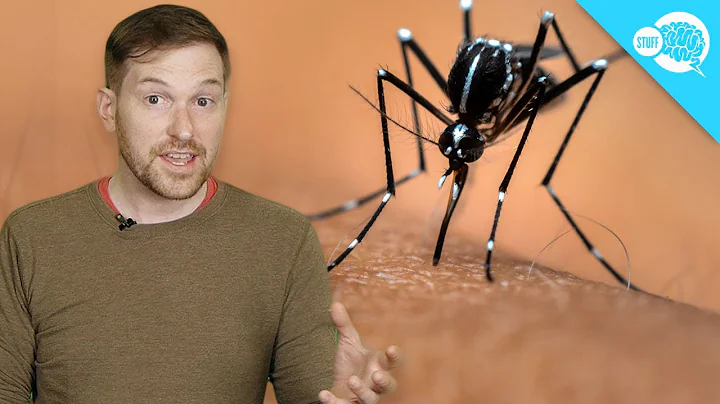 Are Some People Immune To Mosquitoes? - DayDayNews