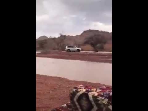 قصيدة نضال خبرني وش اخبار فيحا