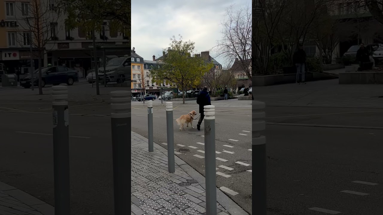 Rouen France #viral #travel #europe #rouen #satisfying #france