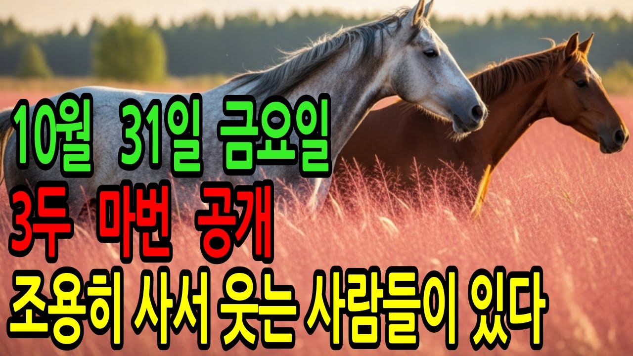 10월 31일 금요일 경마~“확률이 아니라 배짱이 이기는 경마를  만든다”ㅣ승전경마 전문가의 이변 포착 l 경마 l 경마예상 l 코리아레이스 l 검빛경마 ㅣ경마정보