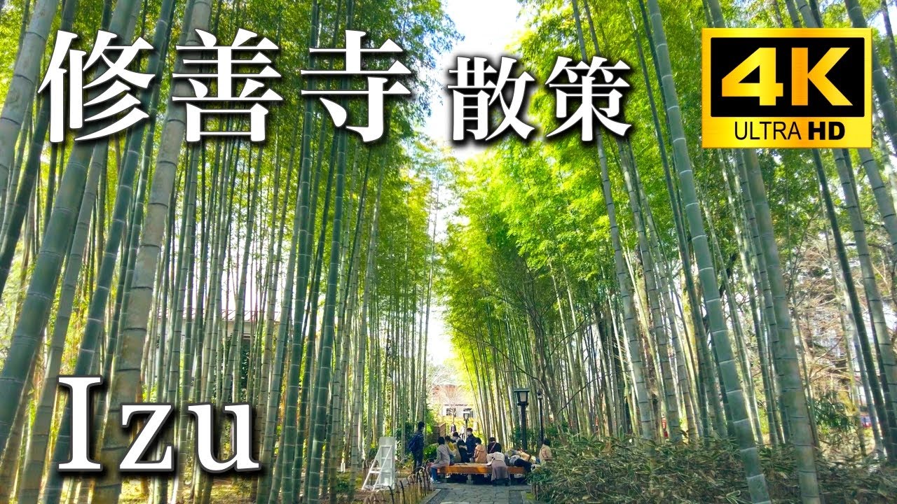 4K【Walking around shuzenji】修善寺散策,Japan,Shizuoka,Izu city, part1,竹林の小径 ...