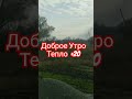 Доброе Утро +20 Отличный День #доброеутро #погода #ноябрь #осень #жизнь   #огород #природа #люсимили