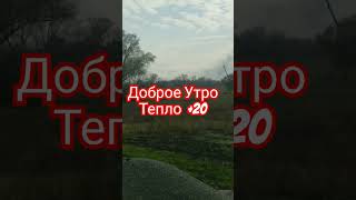 Доброе Утро +20 Отличный День #доброеутро #погода #ноябрь #осень #жизнь   #огород #природа #люсимили