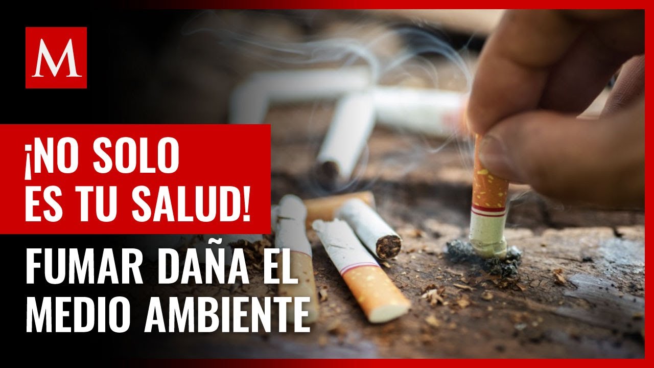 Filtros Para Fumar - Temu Mexico
