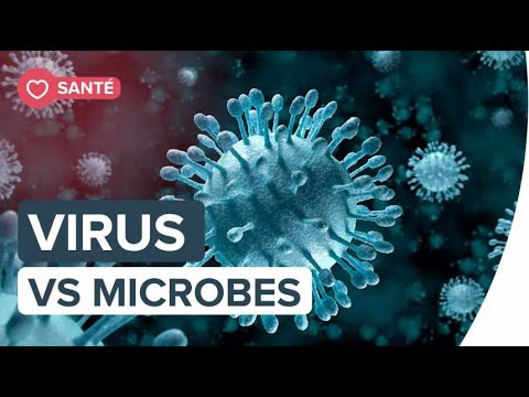 Vidéo: Différence Entre Les Parasites Et Les Bactéries