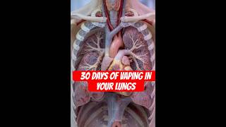 What Vaping Does To Your Lungs In Just 30 Days#lungs#education #3danimation#viral#trending