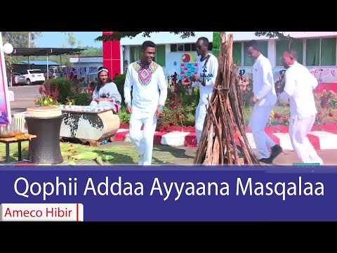 AMECO HIBIR Qophii Addaa Ayyaana Masqalaa 17 01 2018