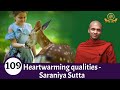 Heartwarming qualities  saraniya sutta mirror of the dhamma for kids  episode 109