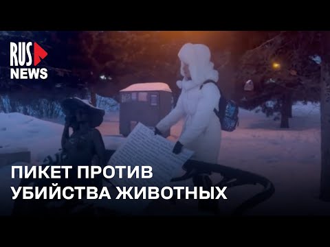 ⭕️ Пикет против уничтожения бездомных животных | Хабаровск