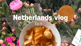 EP5🇳🇱 아침부터 떡볶이 만들어 먹기 • 마트 가서 장보기 • 볼 게 많아 행복한 금요일 • 아이와 호떡 만들기 • 재외투표 | 네덜란드 일상