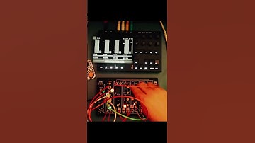 Torso S-4 & MakeNoise 0-Coast - No Talking  - excerpt 2 of 3