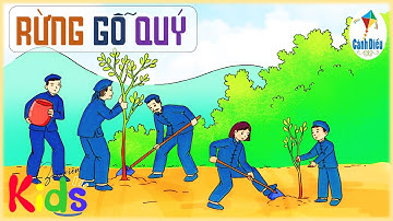 Kể chuyện: Rừng gỗ quý || Tiếng Việt 3 - Tuần 25 Cánh Diều