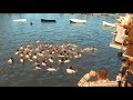 Epiphany 2018 Tarpon Springs. Florida. USA. 4K