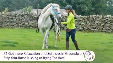 P1 Get More Relaxation and Softness in Groundwork: Stop Your Horse Rushing or Trying Too Hard