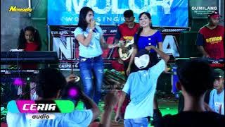 WULAN MERINDU CANDRA NOVITA - NEVADA MUSIC HAPPY PARTY MOLOR WONG SINGKEL