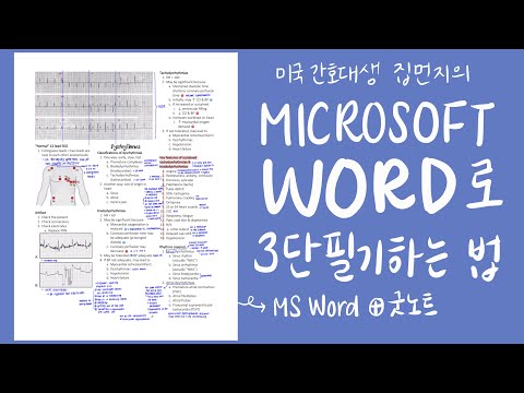 미국 간호대생의 워드 + 굿노트로 3단 필기하는 법