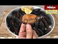 EVDE MİDYE DOLMA TARİFİ || TÜM PÜF NOKTALAR ANLATILDI!!!