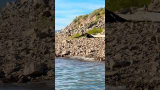 Paddle boarding #paddleboardadventure #paddleboarding #paddleboard #viral #subscribe #travel #pov