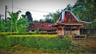 Sobo Deso pinggir hutan | Pesona kegiatan Penduduk Desa || Dusun Wareng - Bentulan - Simo-Kradenan