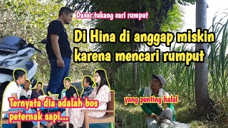 Di Hina Di anggap miskin karena mencari rumput, ternyata dia adalah bos peternak sapi. #38Official