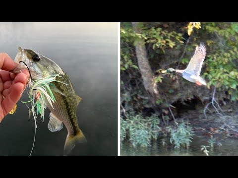 #bass #fishing #october at Lake Linville mt Vernon Ky
