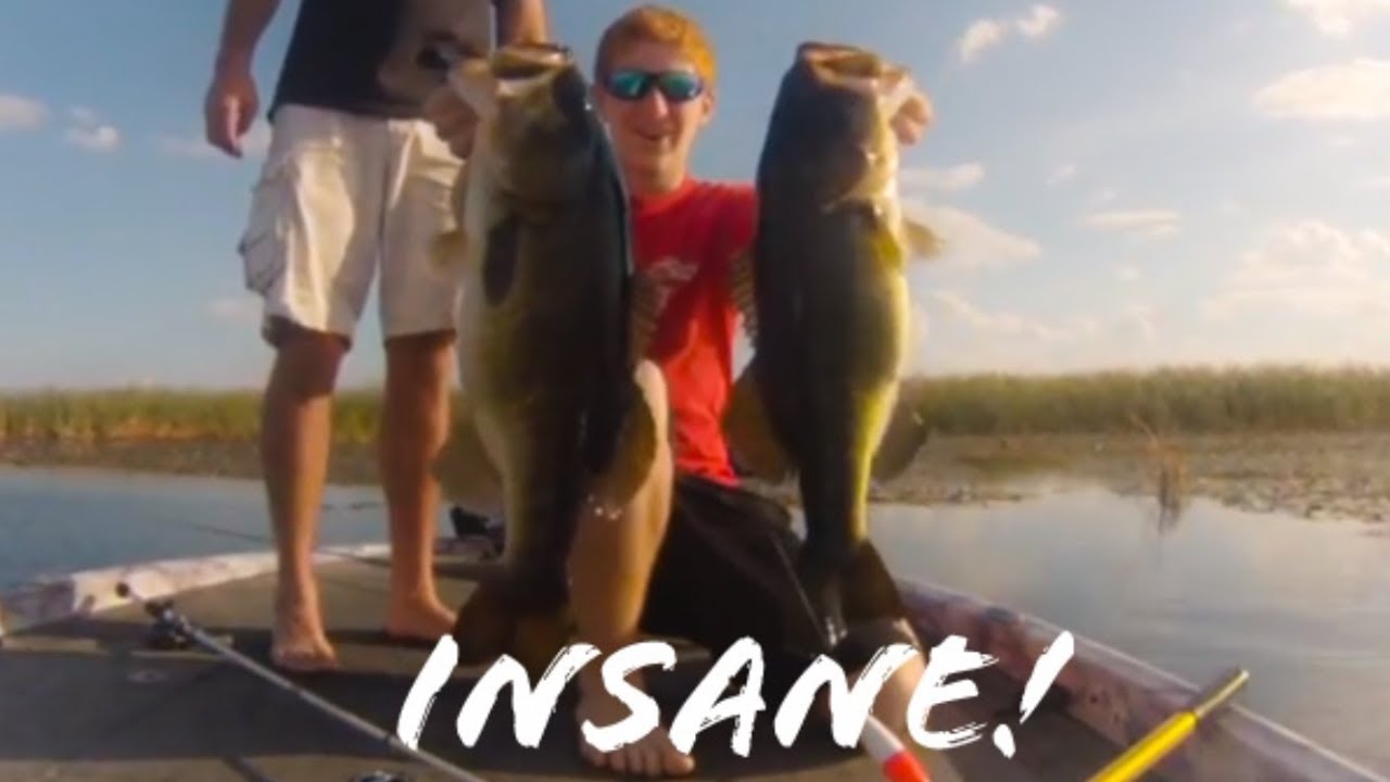 bass fishing at night I FREAK OUT over some GIANT BASS (Hilarious)