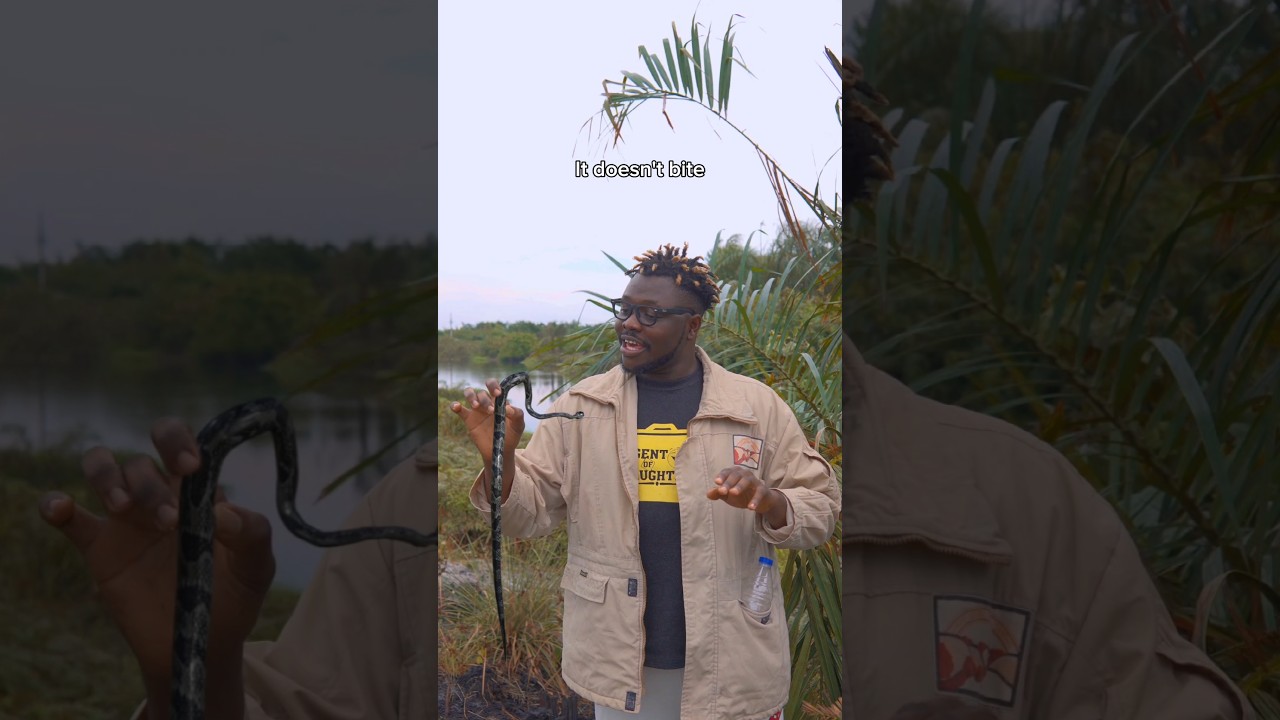 Pov: Wildlife Coach 🤣💔