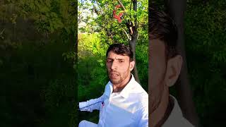 Download Lagu #quran #youngalajerh #qurankareem #muhammadalfaqeh #awaz #gambia #surhmulk #islamicrecitation MP3